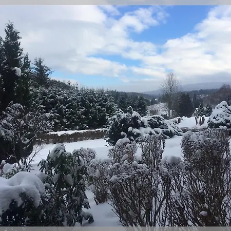 Eulennestchen-harz L2 Fuer Familie & Hund Διαμέρισμα Altenau (Lower-Saxony)
